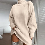 Turtleneck Knit Sweater Dress