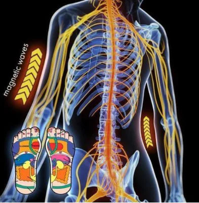 Magnetic Self-Heating Wellness Therapy Socks – Modal Cotton Circulation & Foot Relief