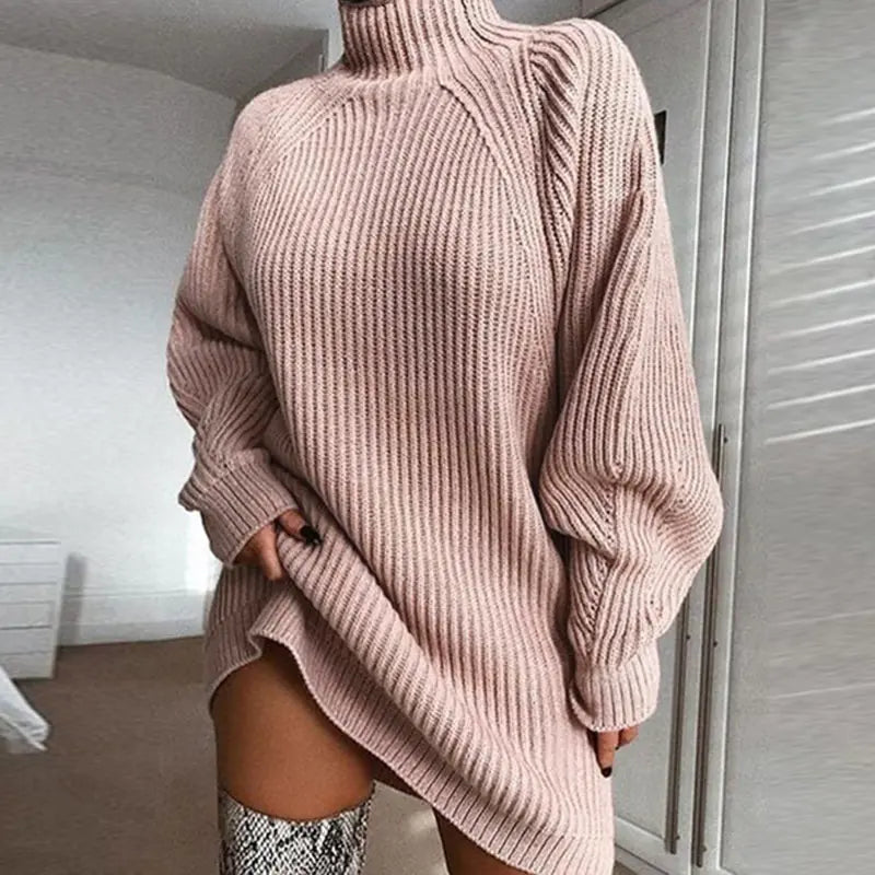 Turtleneck Knit Sweater Dress