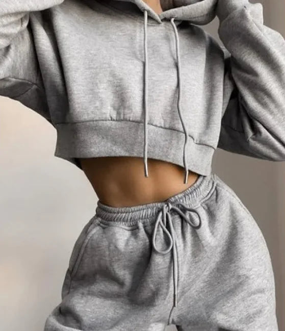 Gray cropped hoodie and sweatpants set on a neutral background