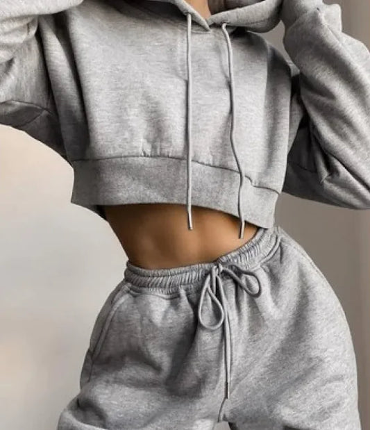 Gray cropped hoodie and sweatpants set on a neutral background