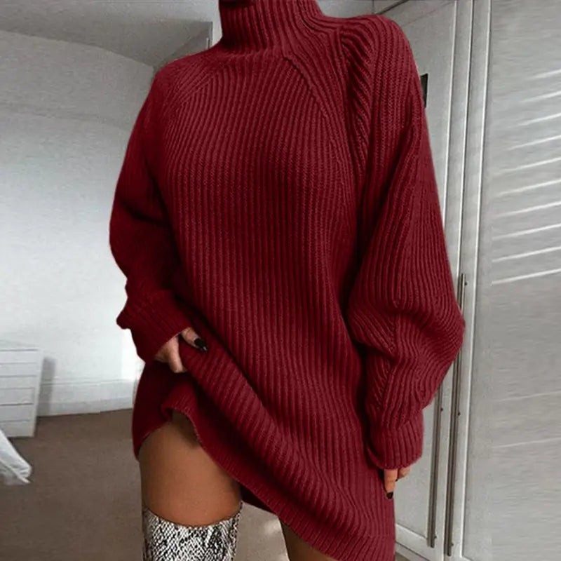 Turtleneck Knit Sweater Dress