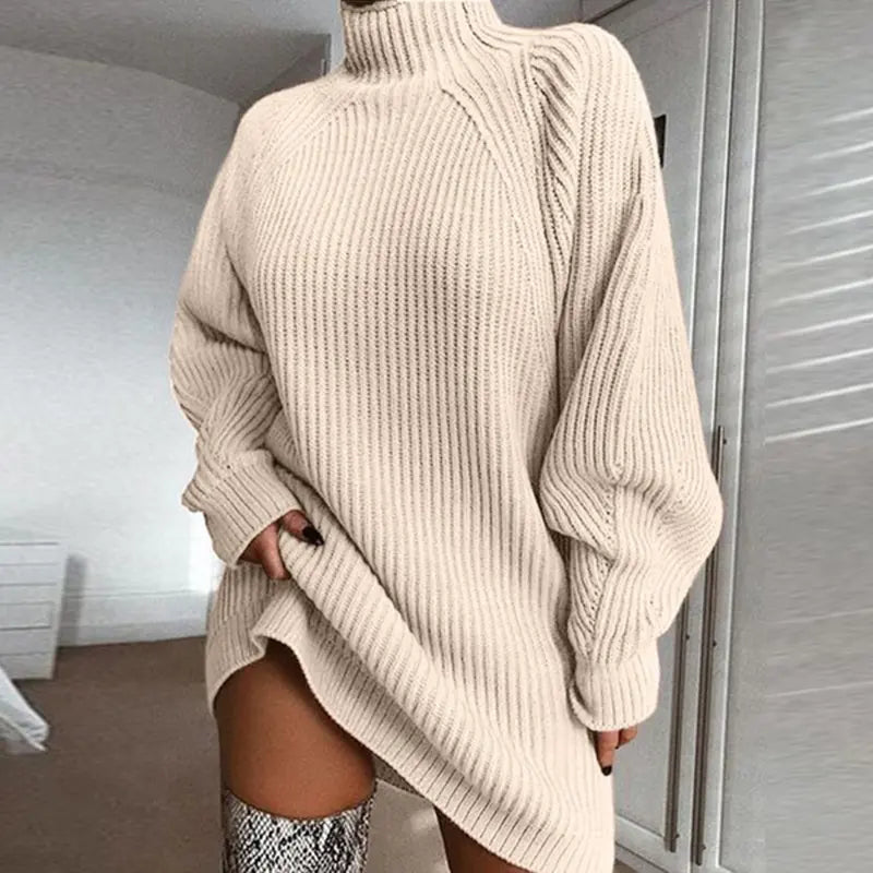 Turtleneck Knit Sweater Dress