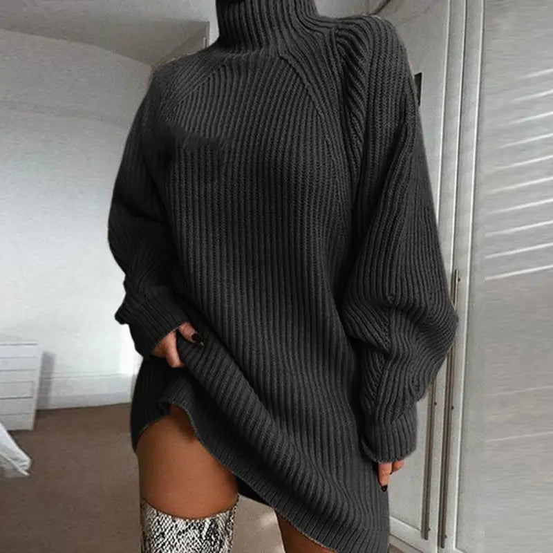 Turtleneck Knit Sweater Dress